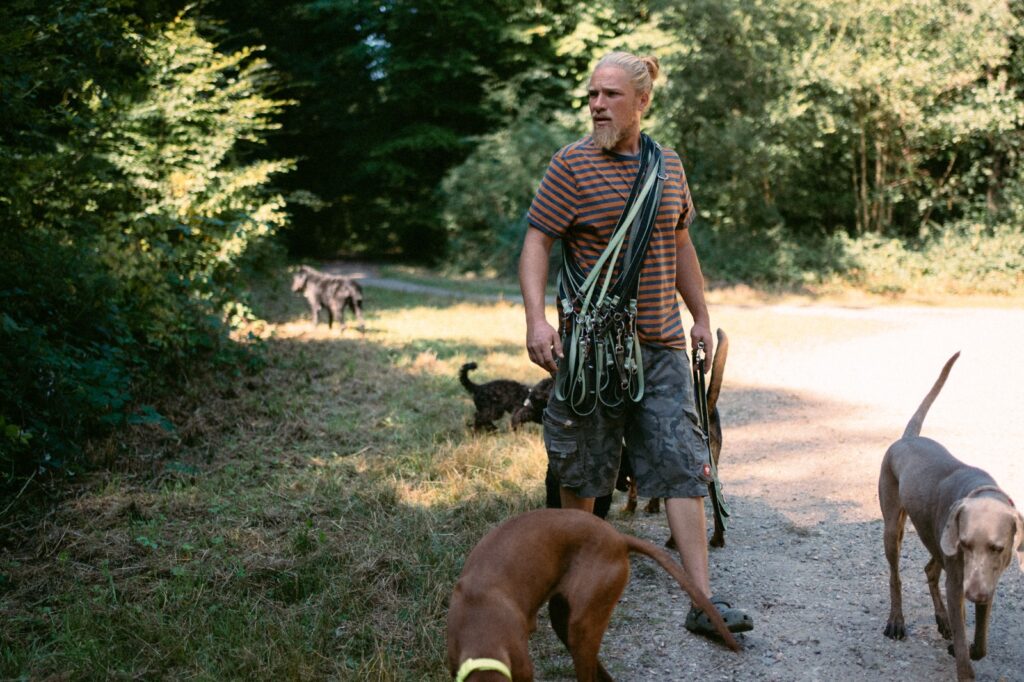 David von Rudelfreunde beim Gassigehen mit mehreren Hunden im Kölner Stadtwald